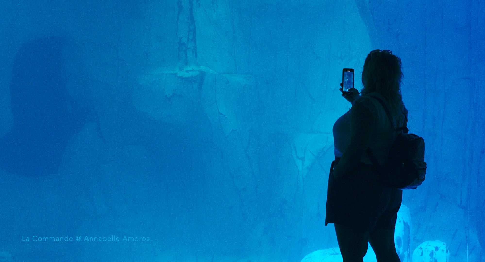 La Commande_@Annabelle Amoros