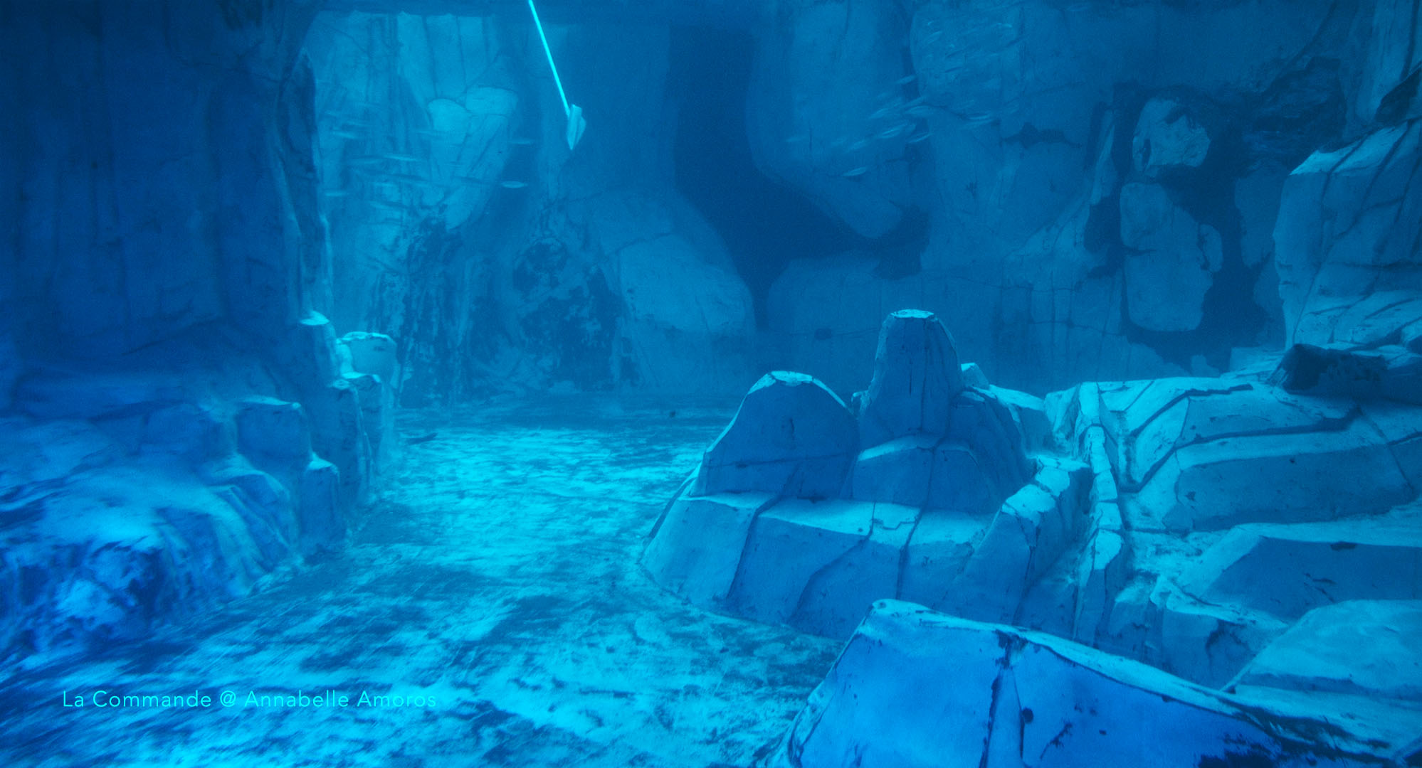 La Commande_@Annabelle Amoros